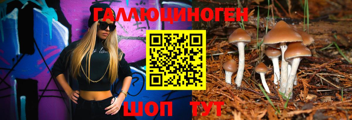 Псилоцибиновые грибы ЛСД Стерлитамак