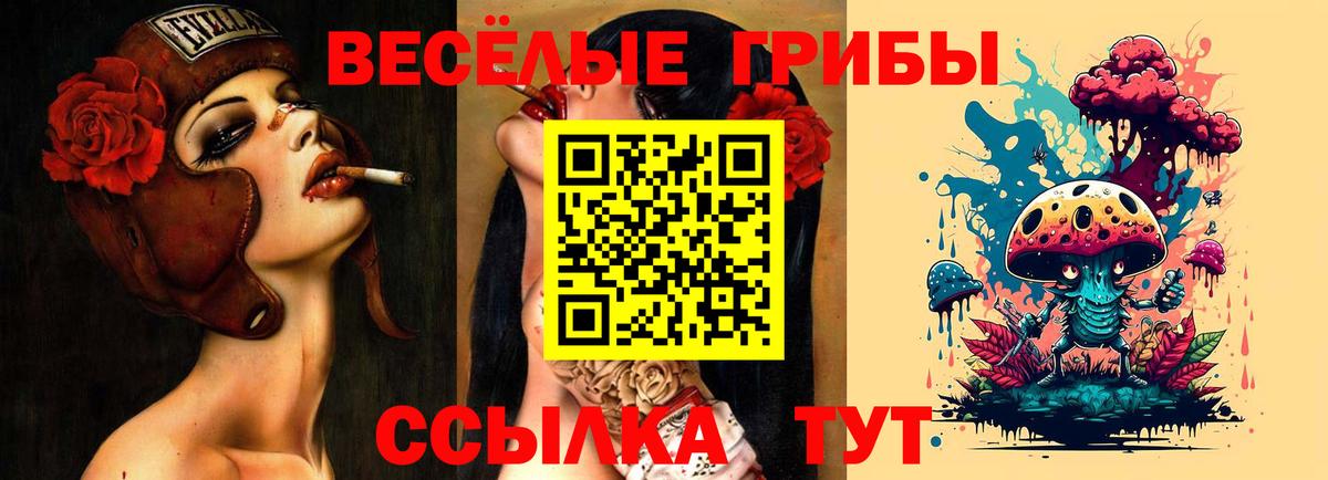 Галлюциногенные грибы мицелий  Вход с VPN  Стерлитамак 
