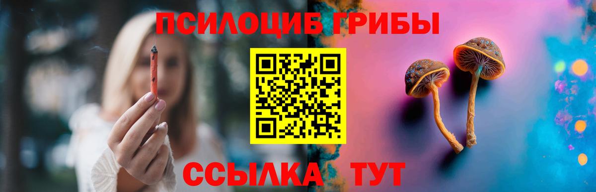 Псилоцибиновые грибы GOLDEN TEACHER  Стерлитамак  Галлюциногенные грибы Psilocybe 